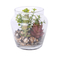 Hot sales terrarium with artificial succulent