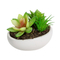 Artificial succulent plants with ceramic pots