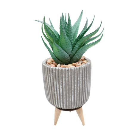 green plants grass artificial with cement grey flower pots for plants agave