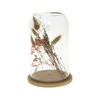 Flowering Straw Holiday Event Decoration To Give Gifts To People with Wooden Base Cylindrical Glass Cover Containing A Variety of Dried Flowers