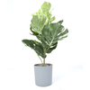 Oasia artificial plant