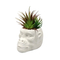 green plant artificial succulent with Cement pot