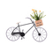 new metal pot with artificial succulents small plants bike shape