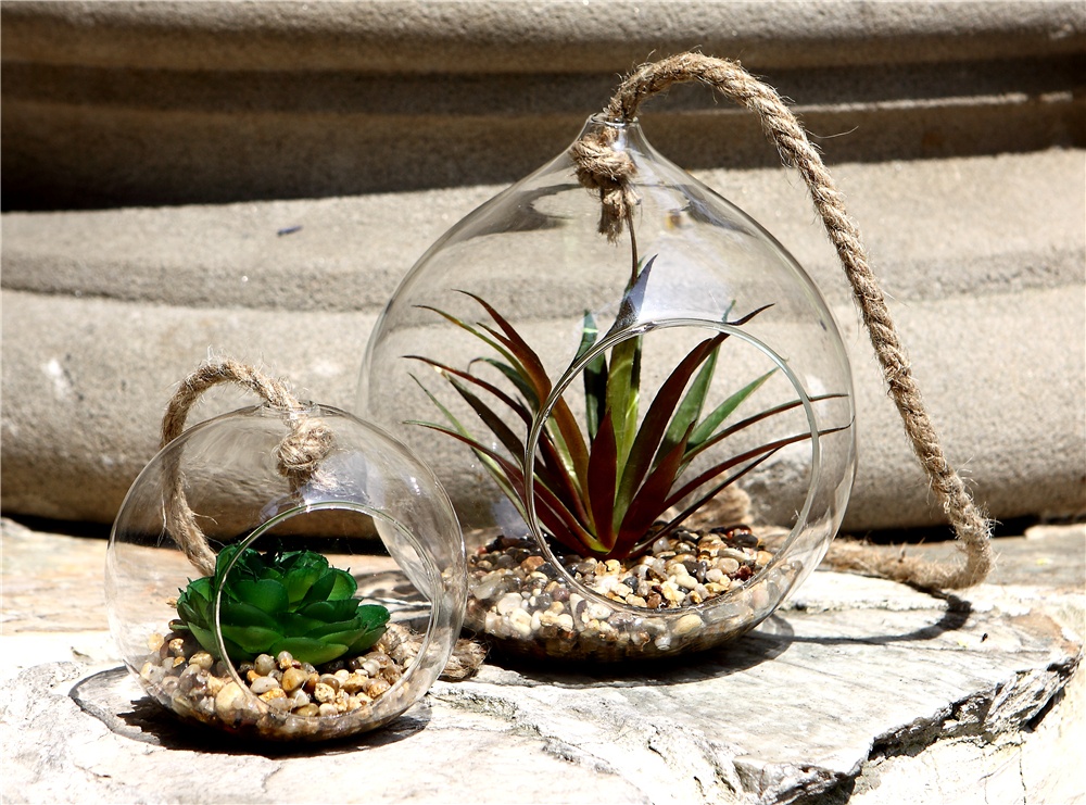 Hanging Glass Vases Flower Plant decorative bulb shape Terrarium