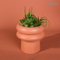 Natural artificial plants with ceramic pot for home decoration