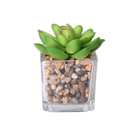 new glass terrarium artificial succulents small plants