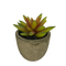 new cement pot with artificial succulents small plants